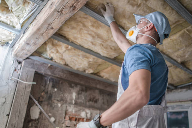Best Local Insulation Services  in Jackson, MO