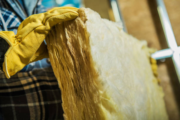 Best Insulation Removal  in Jackson, MO