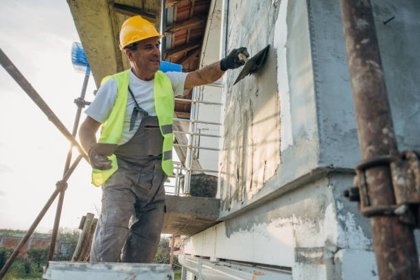 Best Cellulose Insulation  in Jackson, MO