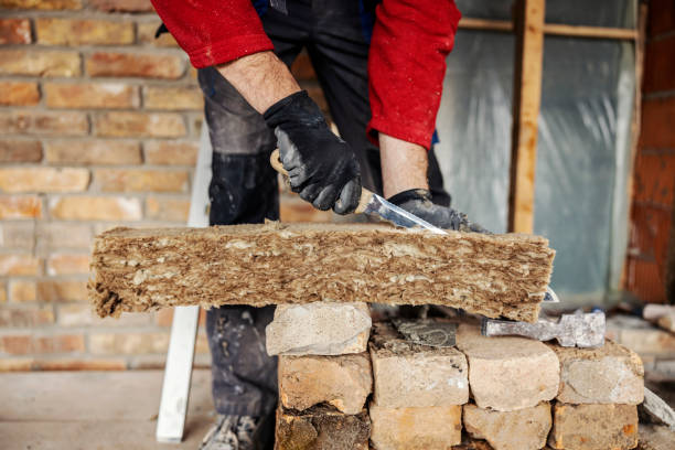 Best Attic Insulation Installation  in Jackson, MO