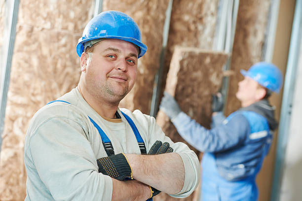 Best Insulation Inspection Services  in Jackson, MO