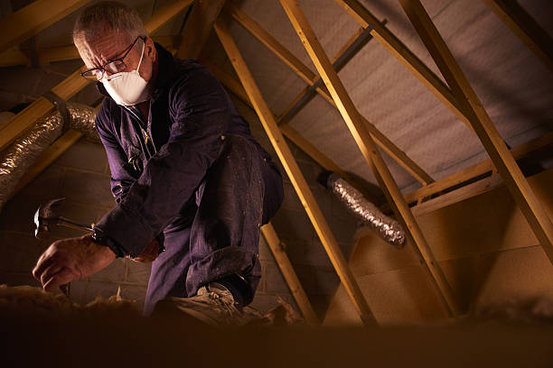 Best Energy-efficient Insulation  in Jackson, MO